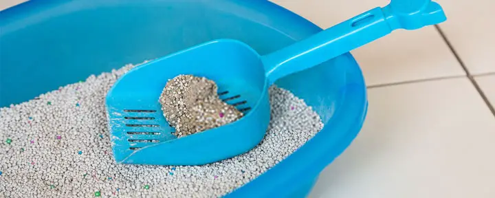 flushable cat litter septic safe