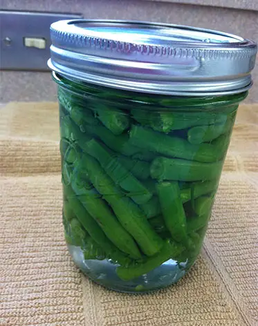 canned green beans for cats