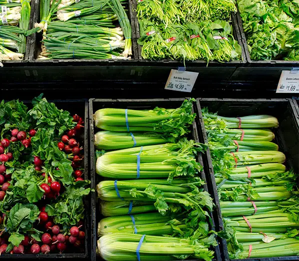 celery in the market