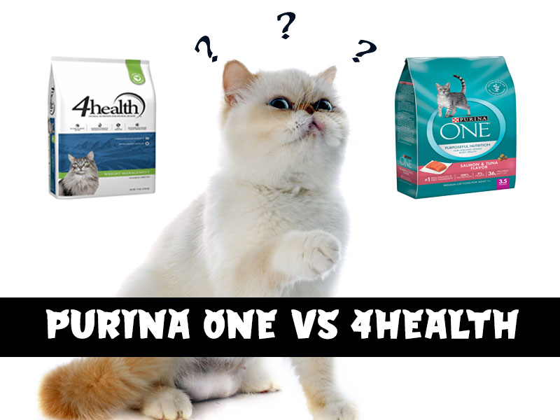 How does Purina one compare to 4health cat food