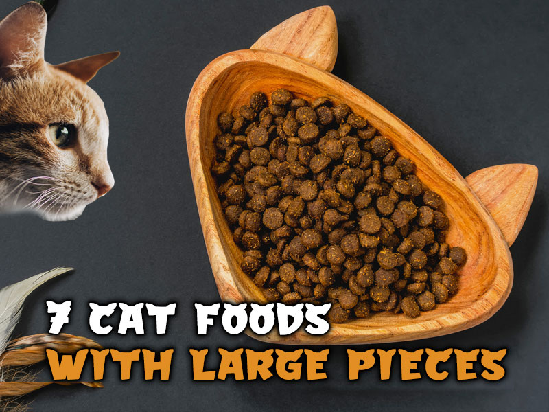 7 Best Cat Foods with Large Pieces: Brand Review Included
